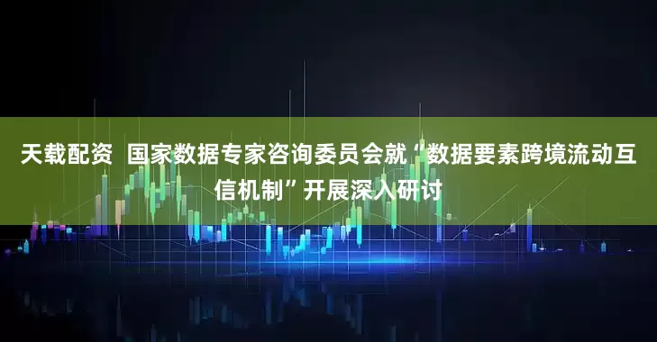 天载配资  国家数据专家咨询委员会就“数据要素跨境流动互信机制”开展深入研讨