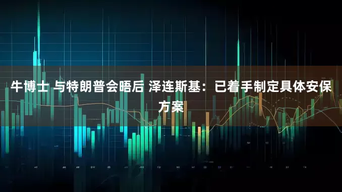 牛博士 与特朗普会晤后 泽连斯基：已着手制定具体安保方案