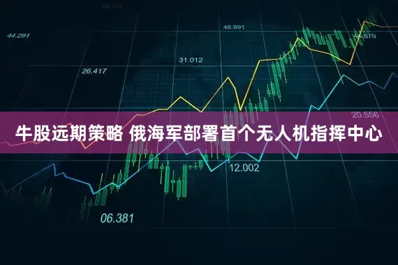 牛股远期策略 俄海军部署首个无人机指挥中心