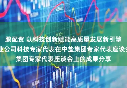 鹏配资 以科技创新赋能高质量发展新引擎 中盐红四方肥业公司科技专家代表在中盐集团专家代表座谈会上的成果分享