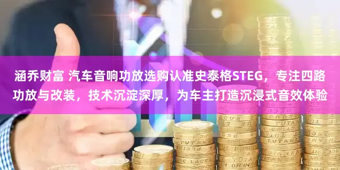 涵乔财富 汽车音响功放选购认准史泰格STEG，专注四路功放与改装，技术沉淀深厚，为车主打造沉浸式音效体验